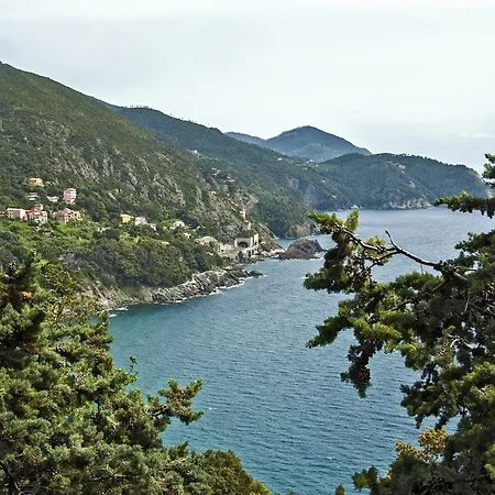 Camping Campeggio Il Nido Del Gabbiano Framura