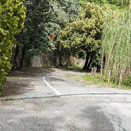 Campeggio Il Nido Del Gabbiano